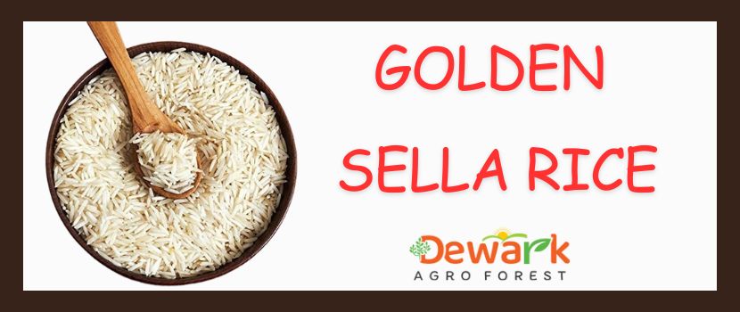 Golden Sella Basmati Rice: A Culinary Odyssey of Flavor, Aroma, and Elegance