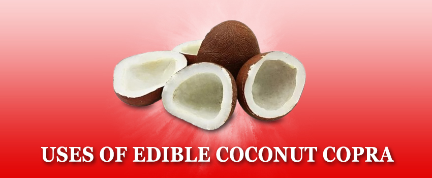 Unlimited Uses of Edible Coconut Copra