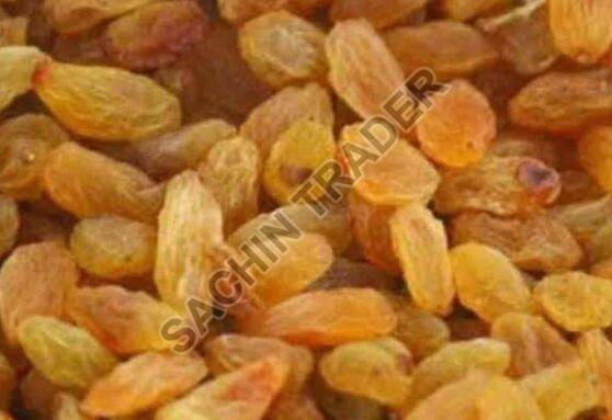 How to find a Golden Raisin supplier in India?