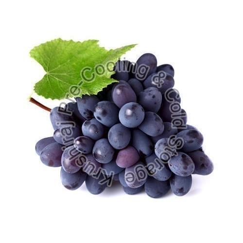 Discover The Incomparable Pluses of Black Grapes