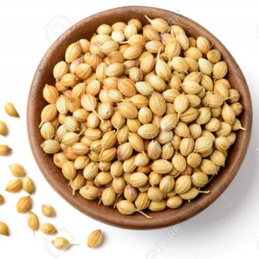 Delve Into a Few Diverse Benefits of Coriander Seeds
