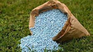 Powering Growth: The Vital Role of Agriculture Fertilizer Suppliers