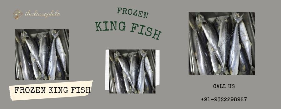 Why should you prefer buying Frozen King Fish for daily taste fulfillment?