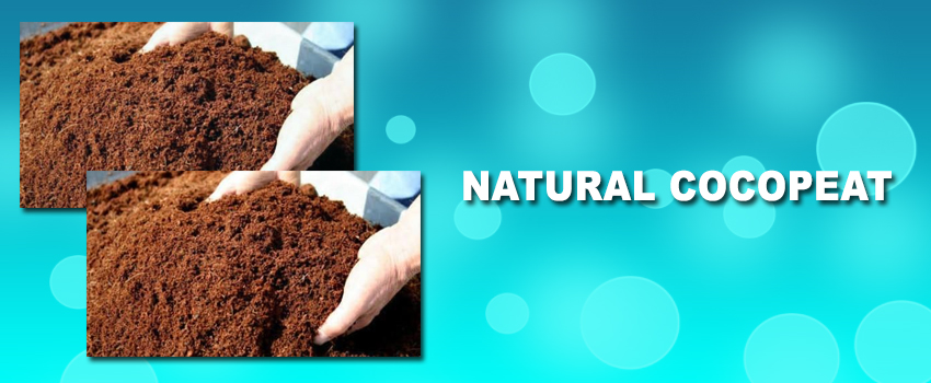 Natural Cocopeat and its Numerous Uses