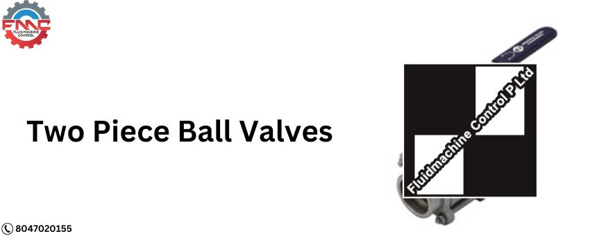 Everything You Need To Know About Two Piece Ball Valves
