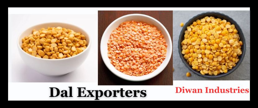 Exporting Pulses from India: What You Should Know