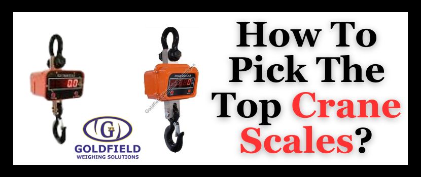 How To Pick The Top Crane Scales?