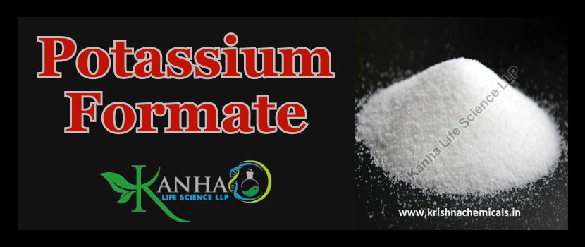 The role of Potential of Potassium Formate Exporters in India