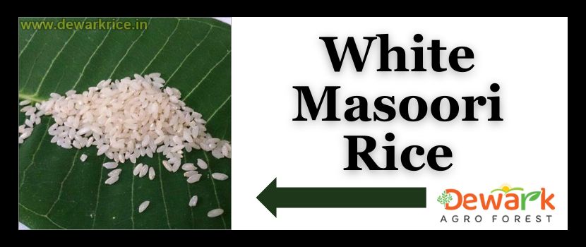 Why should you make White Masoori Rice As your staple diet?