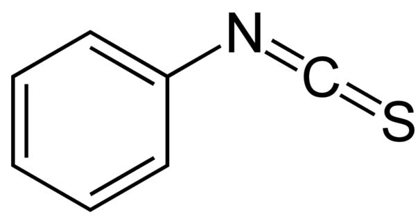 The Versatile Reactivity of 4-Isothiocyanato Phenol