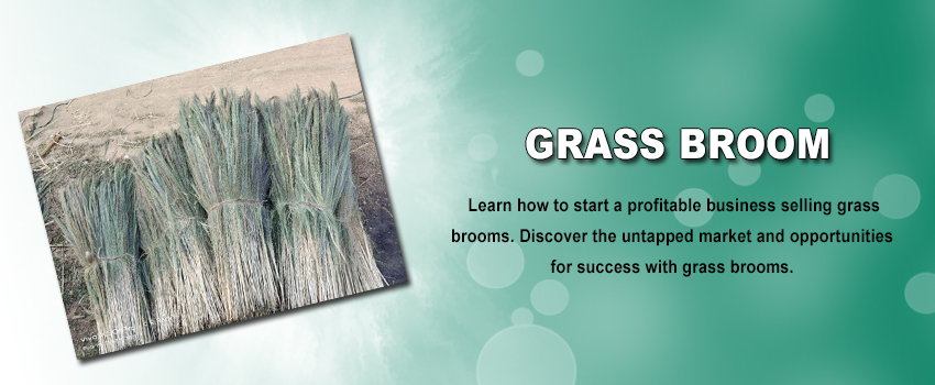 Grass Broom - A Profitable Business