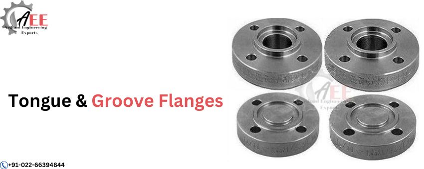 Top 5 Common Uses of Tongue and Groove Flanges