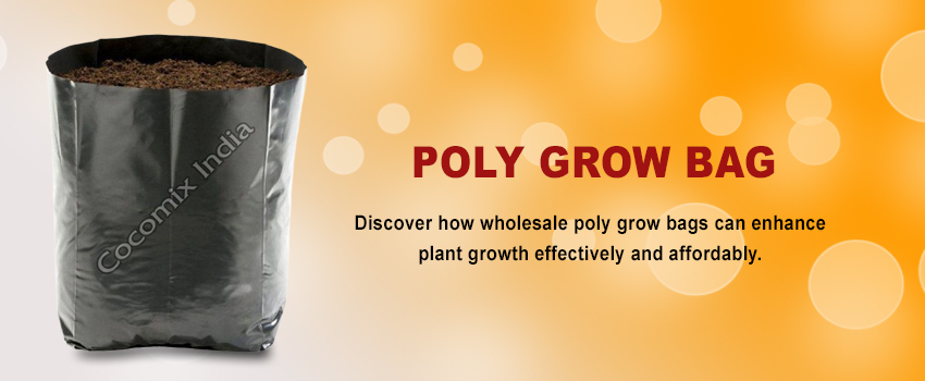 How to Increase Plant Growth with Wholesale Poly Grow Bags
