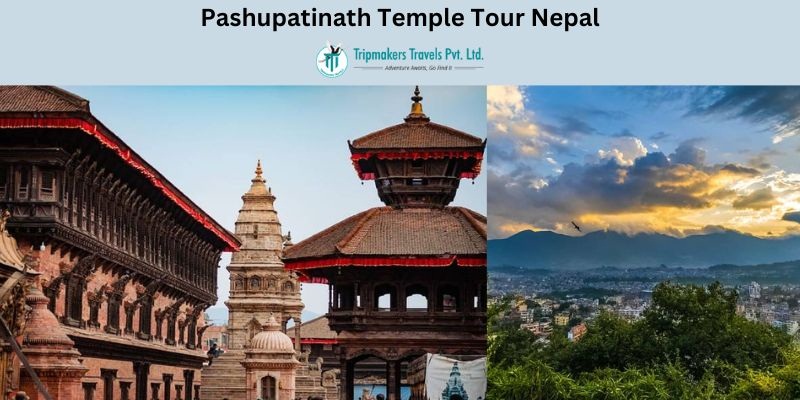 Pashupatinath Temple Tour: Go for a holy tour in Nepal
