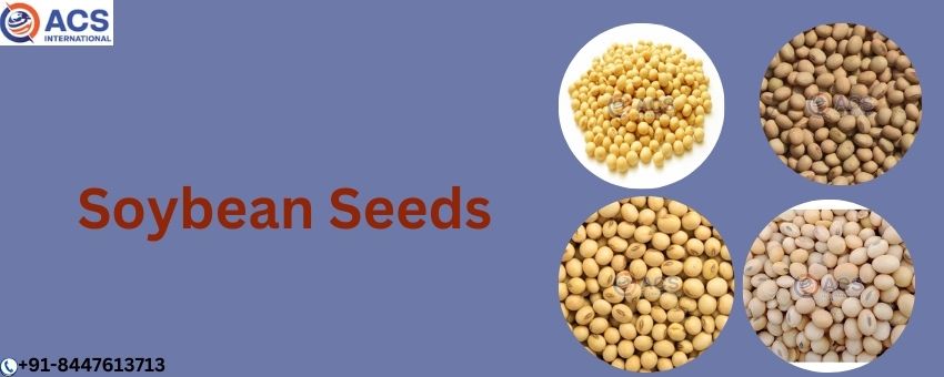 The Importance of A-Grade Soybean Seeds for Businesses in the Agricultural Sector