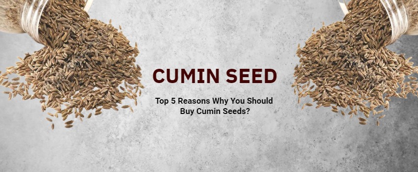 Top 5 Reasons Why You Should Buy Cumin Seeds?