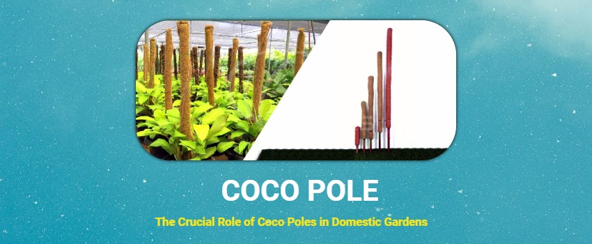 The Crucial Role of Coco Poles in Domestic Gardens