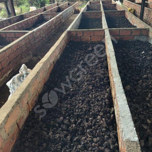 Everything You Need to Understand About Using Vermicompost for Your Plants