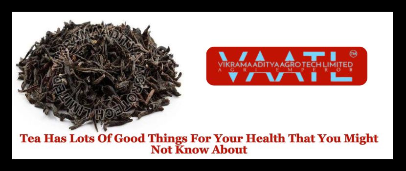 Tea Has Lots of Good Things for Your Health That You Might Not Know About