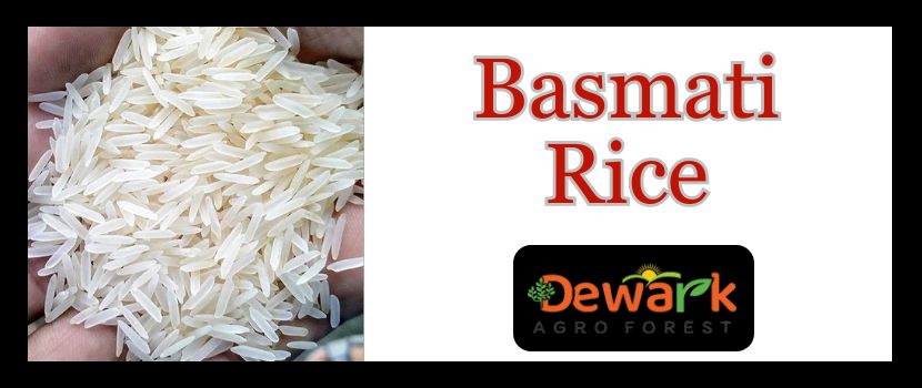 Different types of basmati rice available online by leading suppliers India