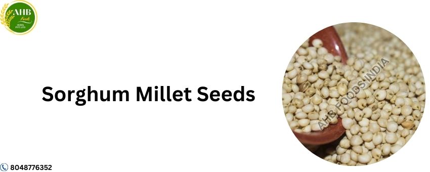 The Undeniable Perks of Sorghum Millet Seeds