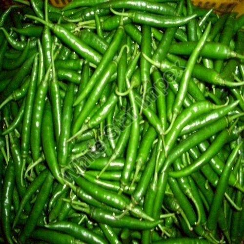 The Incredible Benefits of Consuming Green Chillies - Spice Up Your Health