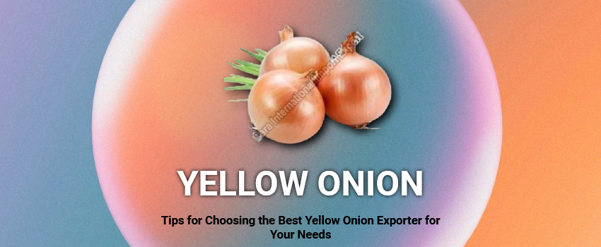 Tips for Choosing the Best Yellow Onion Exporter for Your Needs