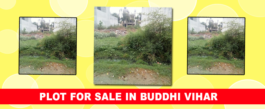 Top 6 Reasons to Invest in Plot for Sale in Buddhi Vihar