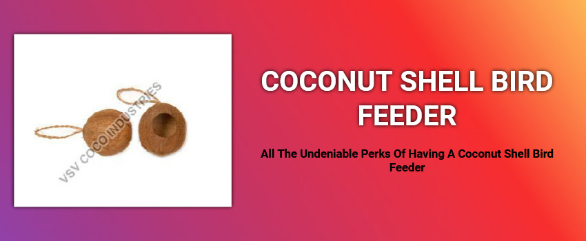 All The Undeniable Perks Of Having A Coconut Shell Bird Feeder