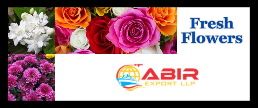 Fresh Flowers Exporter