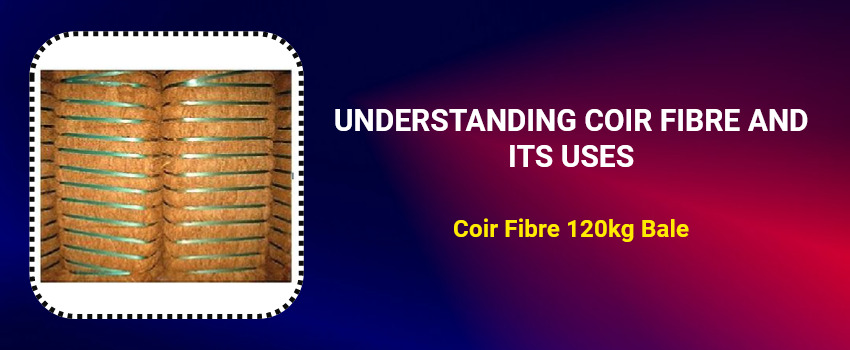 Understanding Coir Fibre and Its Uses