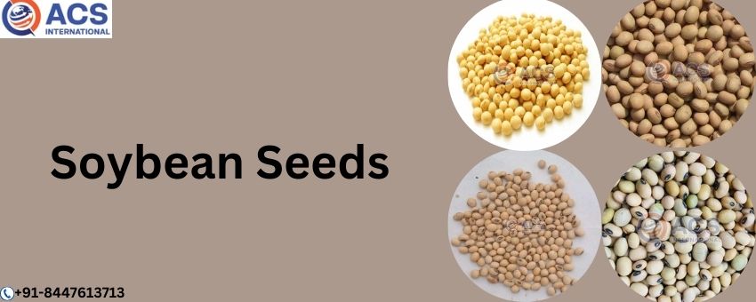 Unlocking the Benefits of Soybean Seeds - A Nutritional Powerhouse