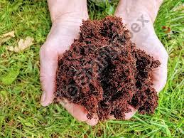 Vermicompost Powder exporters – Natural source for the soil health