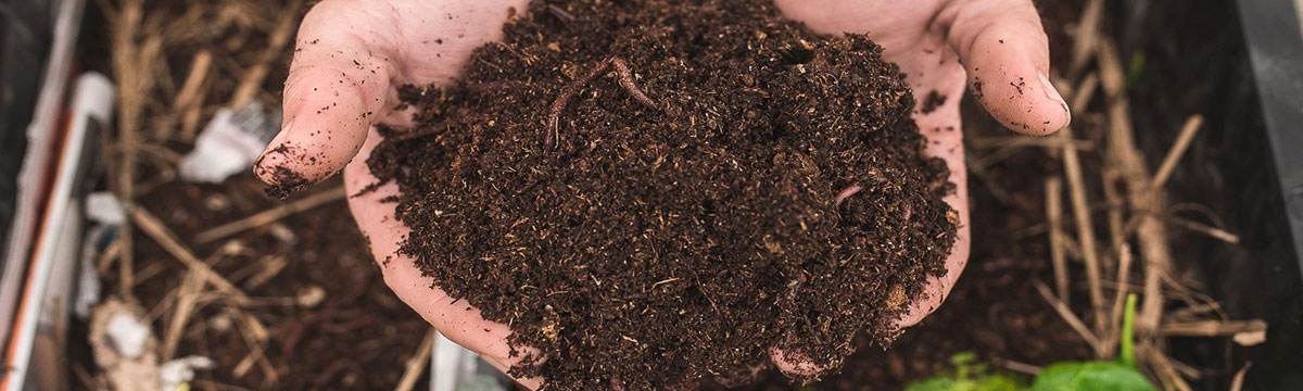 5 Reasons Why Organic Vermicompost Fertilizers Are Best for Farming