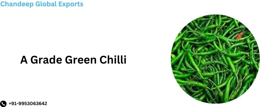 A Grade Green Chilli Supplier: Quality and Freshness Guaranteed