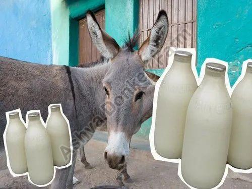 Discovering the Liquid Gold: The Health Benefits of Donkey Milk