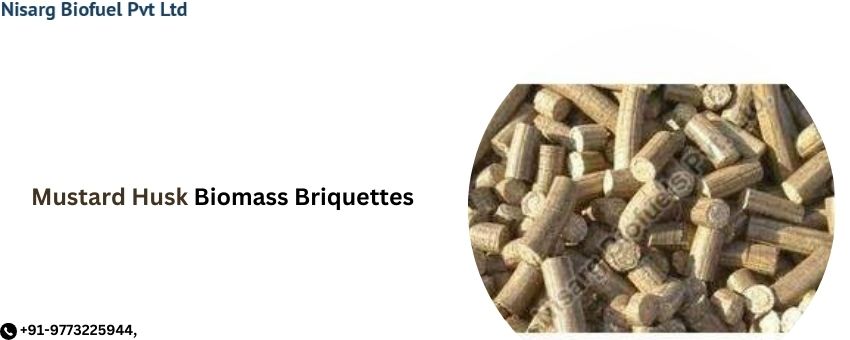 All You Need To Know About Mustard Husk Biomass Briquettes