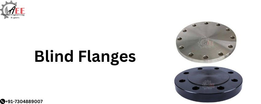 Top 5 Common Uses of Blind Flanges