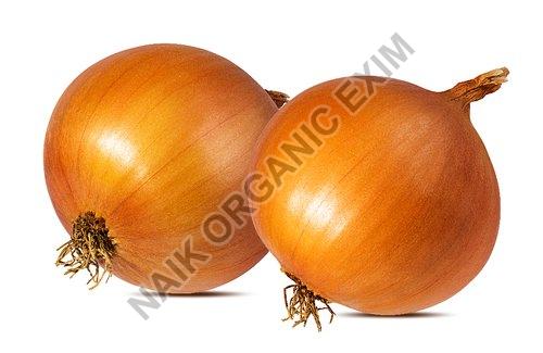 The Significance of Fresh Yellow Onion Supplier