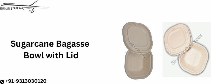 Why Sugarcane Bagasse Bowl with Lid is the Future of Sustainable Packaging?