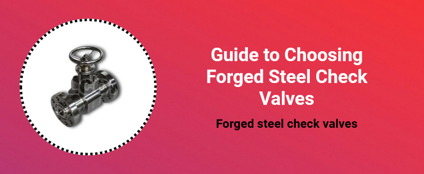 Guide to Choosing Forged Steel Check Valves