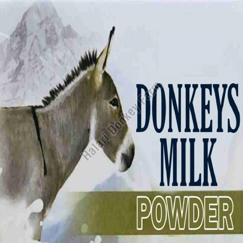 Learn About the Infinite Advantages of Donkey Milk Powder for Your Daily Life