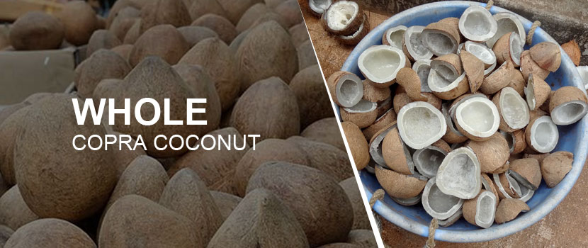 A Comprehensive Guide on Whole Copra Coconut