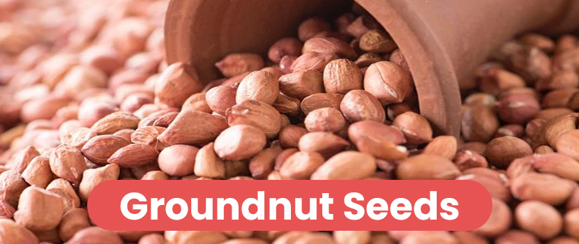 Groundnut Seeds - the new superfood you should opt for.