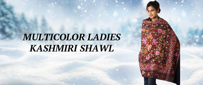 All important points about Multicolour Ladies Kashmiri Shawl Supplier