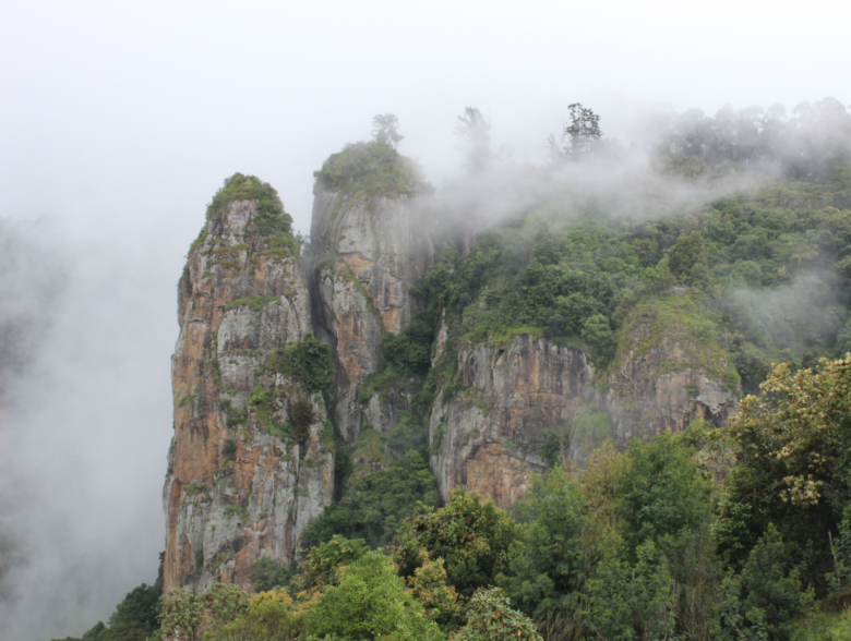 Reasons To Book Kodaikanal Holiday Tour Packages From a Trusted Tour Operator