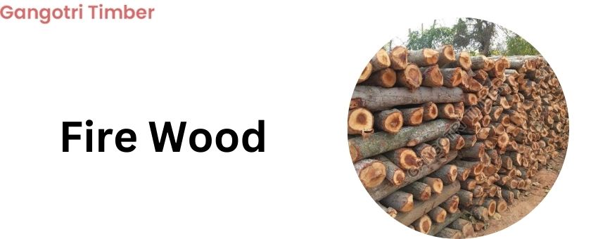 Firewood - a traditional and sustainable energy source