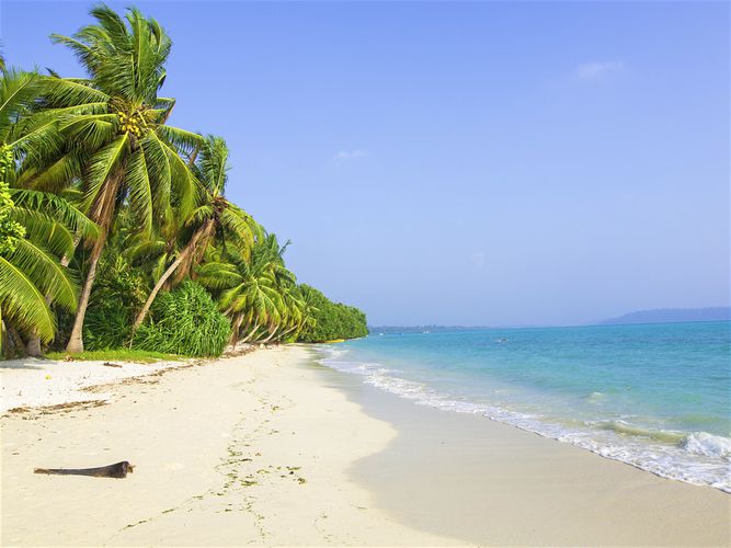 5 Tested Ways to Book the Perfect Hotel Room in Port Blair
