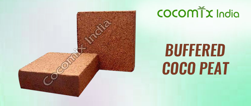 What is Buffered Coco Peat and its Uses?