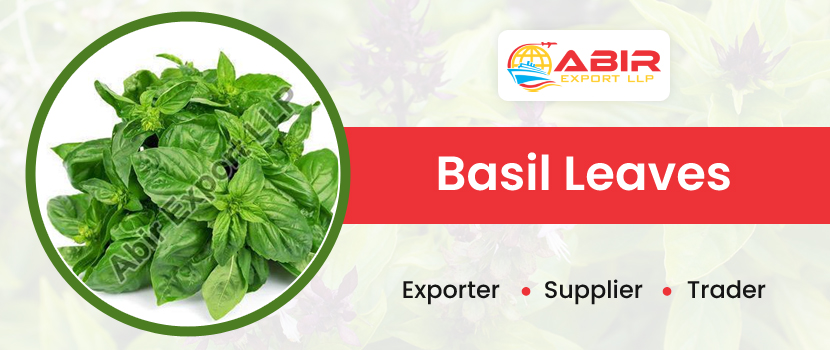 Things to Remember Before Selecting a Natural Herbs Exporter in India